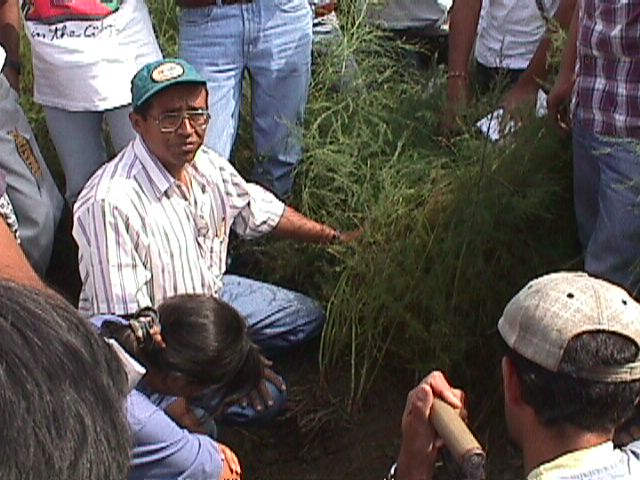002f.jpg (66673 bytes)