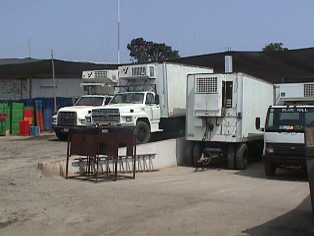 011f.jpg (47315 bytes)